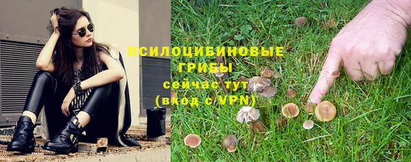 spice Горняк