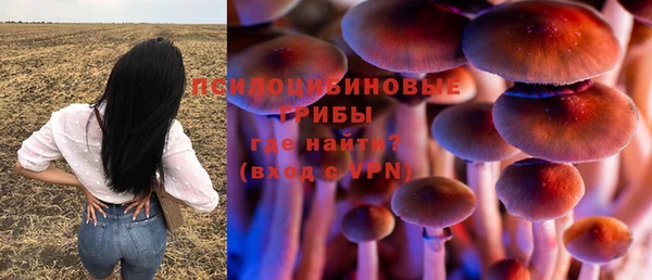 spice Горняк